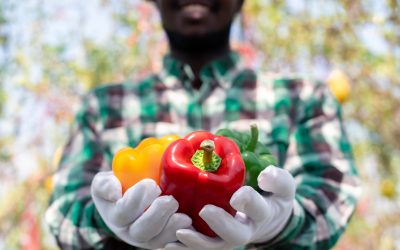 Fruit Quality – From Farm to Fork